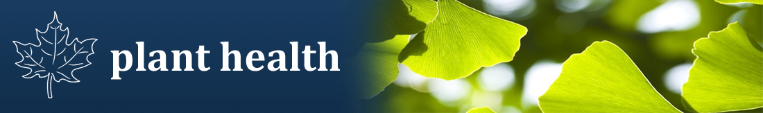 Plant Health
